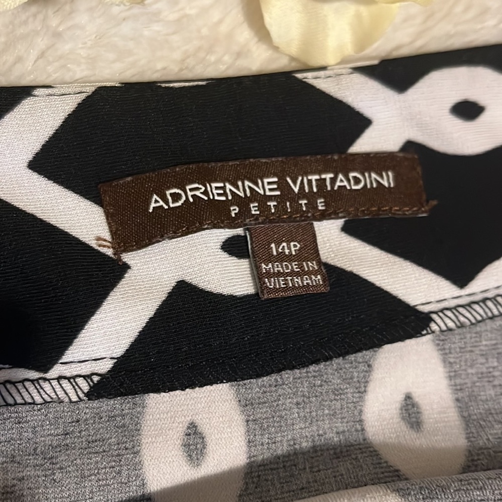 ADRIENNE VITTADINI SKIRT SIZE 14P - Picture 2 of 4